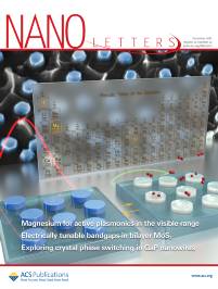Cover of Nano Letters, December 2016