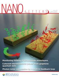 Cover of Nano Letters, January 2019