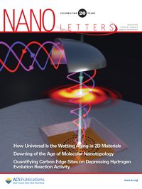 Cover of Nano Letters, August 2020